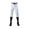 Evoshield Mens Salute White Knicker W/Black Pinstripe